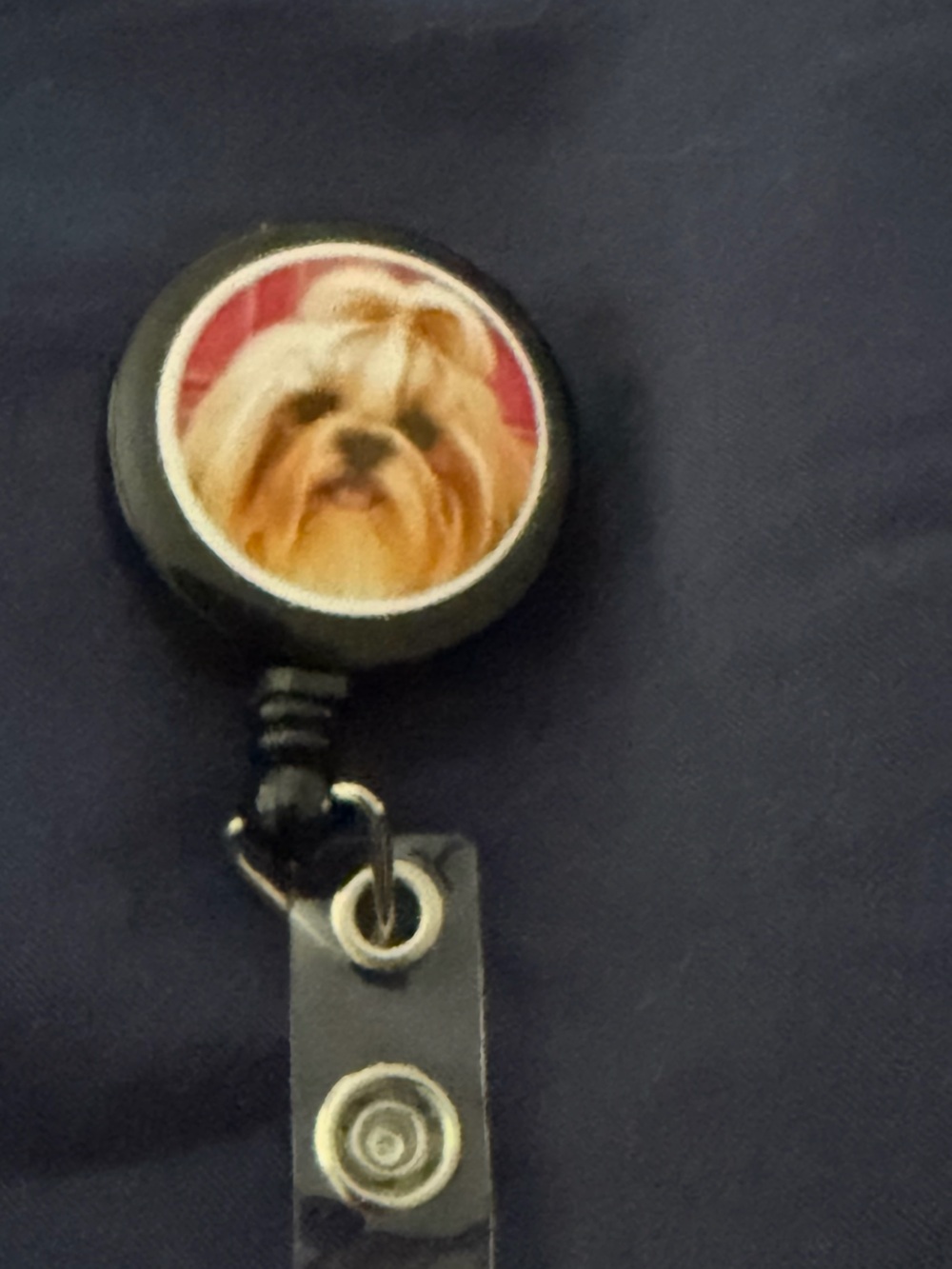 Black Dog Face Retractable Badge Reel Key & Card Holder